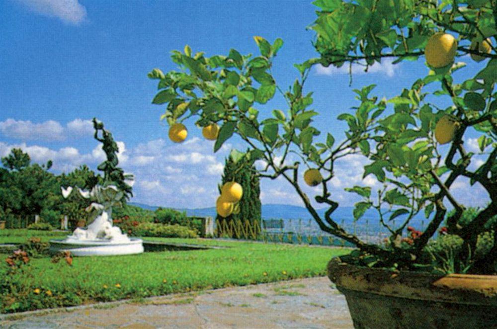Hotel Villa Le Rondini 佛罗伦萨 外观 照片